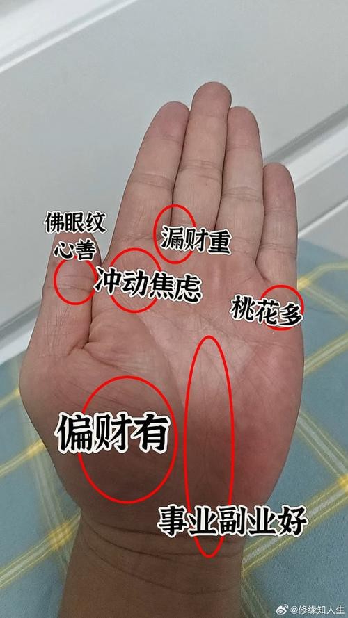 能否提供龍眼紋者的手相圖片？（能否提供龍眼紋者的手相圖片） 能否提供龍眼紋者的手相圖片？（能否提供龍眼紋者的手相圖片） 龍魚百科 第5張