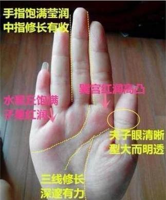 能否提供龍眼紋者的手相圖片？（能否提供龍眼紋者的手相圖片） 能否提供龍眼紋者的手相圖片？（能否提供龍眼紋者的手相圖片） 龍魚百科 第7張