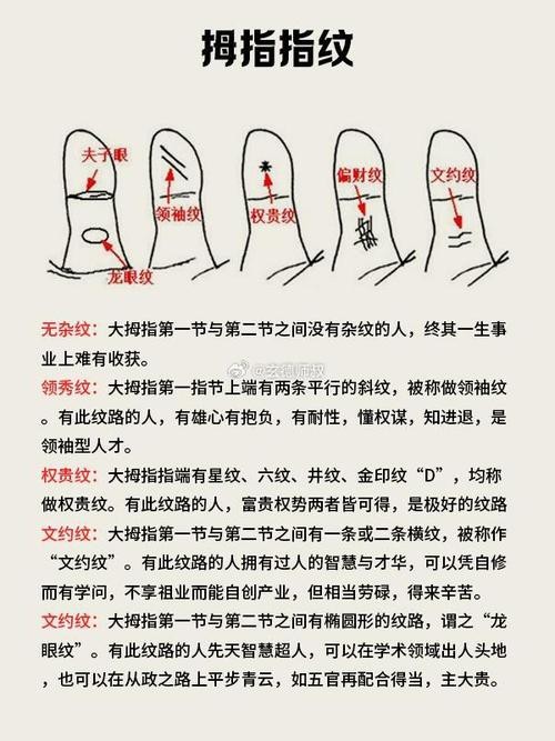 能否提供龍眼紋者的手相圖片？（能否提供龍眼紋者的手相圖片） 能否提供龍眼紋者的手相圖片？（能否提供龍眼紋者的手相圖片） 龍魚百科 第10張