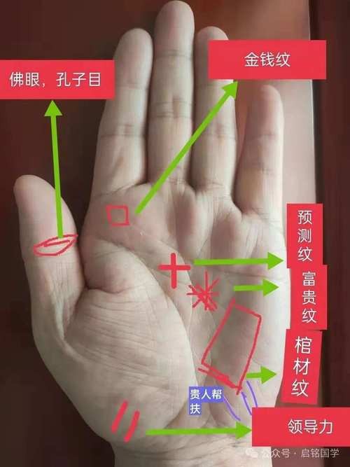 能否提供龍眼紋者的手相圖片？（能否提供龍眼紋者的手相圖片） 能否提供龍眼紋者的手相圖片？（能否提供龍眼紋者的手相圖片） 龍魚百科 第9張