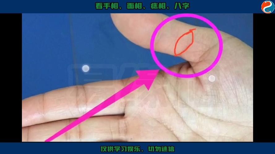 能否提供龍眼紋者的手相圖片？（能否提供龍眼紋者的手相圖片） 能否提供龍眼紋者的手相圖片？（能否提供龍眼紋者的手相圖片） 龍魚百科 第14張
