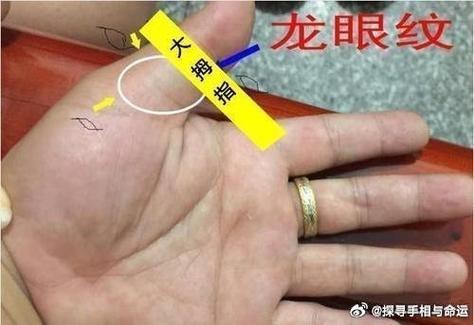 能否提供龍眼紋者的手相圖片？（能否提供龍眼紋者的手相圖片） 能否提供龍眼紋者的手相圖片？（能否提供龍眼紋者的手相圖片） 龍魚百科 第17張