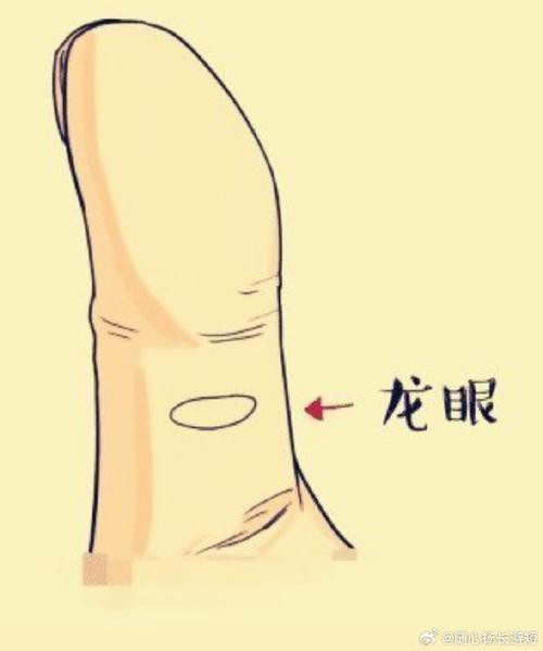 能否提供龍眼紋者的手相圖片？（能否提供龍眼紋者的手相圖片） 能否提供龍眼紋者的手相圖片？（能否提供龍眼紋者的手相圖片） 龍魚百科 第16張