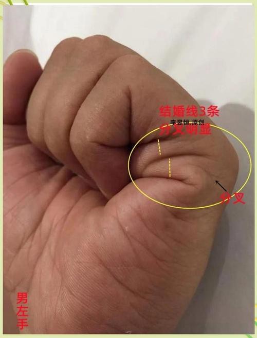 能否提供龍眼紋者的手相圖片？（能否提供龍眼紋者的手相圖片） 能否提供龍眼紋者的手相圖片？（能否提供龍眼紋者的手相圖片） 龍魚百科 第18張