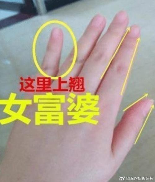 能否提供龍眼紋者的手相圖片？（能否提供龍眼紋者的手相圖片） 能否提供龍眼紋者的手相圖片？（能否提供龍眼紋者的手相圖片） 龍魚百科 第19張