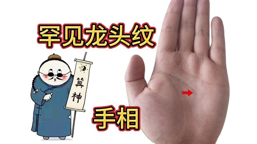 能否提供龍眼紋者的手相圖片？（能否提供龍眼紋者的手相圖片） 能否提供龍眼紋者的手相圖片？（能否提供龍眼紋者的手相圖片） 龍魚百科 第23張