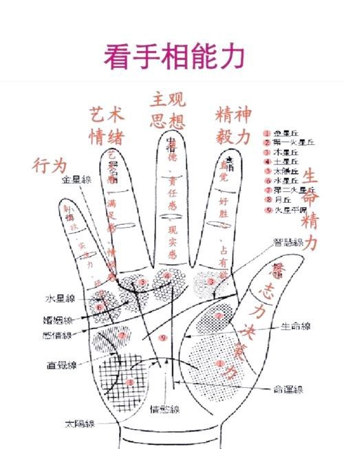 能否提供龍眼紋者的手相圖片？（能否提供龍眼紋者的手相圖片） 能否提供龍眼紋者的手相圖片？（能否提供龍眼紋者的手相圖片） 龍魚百科 第24張