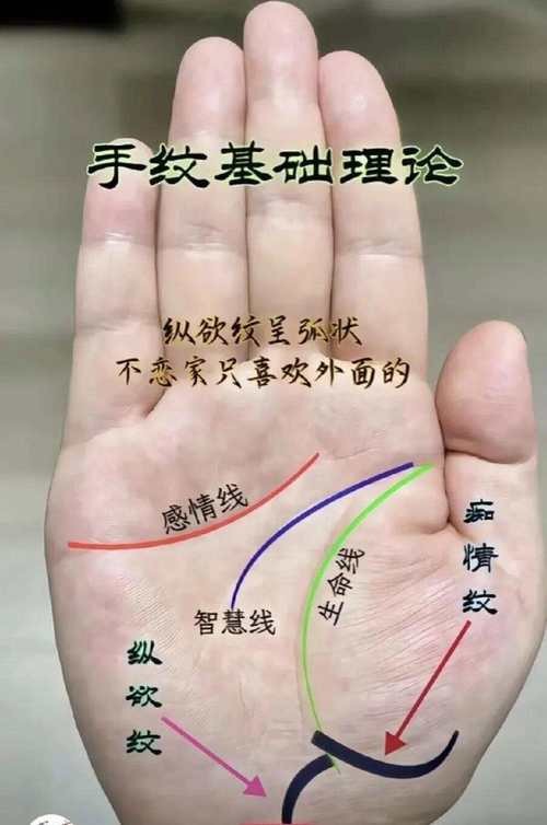 能否提供龍眼紋者的手相圖片？（能否提供龍眼紋者的手相圖片） 能否提供龍眼紋者的手相圖片？（能否提供龍眼紋者的手相圖片） 龍魚百科 第26張