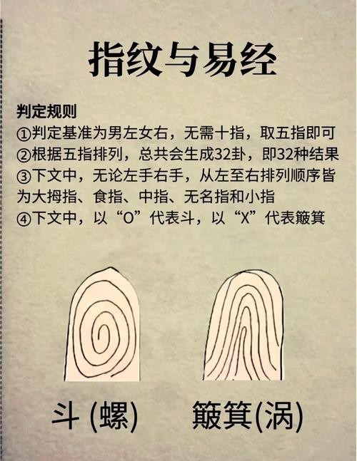 能否提供龍眼紋者的手相圖片？（能否提供龍眼紋者的手相圖片） 能否提供龍眼紋者的手相圖片？（能否提供龍眼紋者的手相圖片） 龍魚百科 第27張