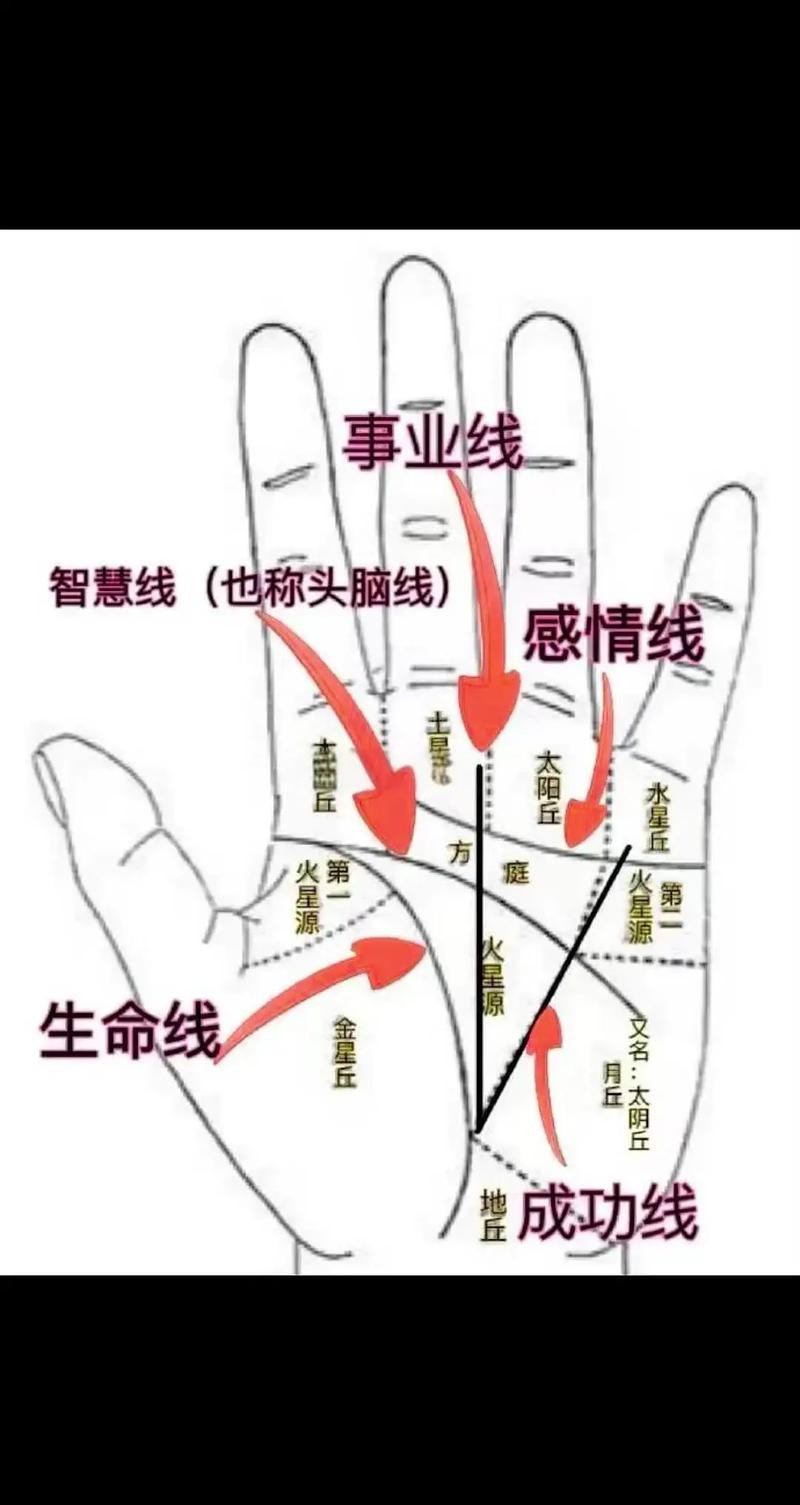 能否提供龍眼紋者的手相圖片？（能否提供龍眼紋者的手相圖片） 能否提供龍眼紋者的手相圖片？（能否提供龍眼紋者的手相圖片） 龍魚百科 第29張