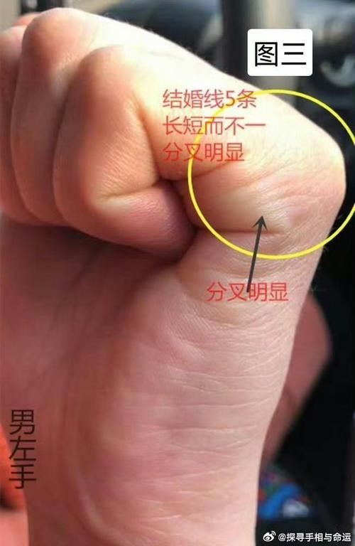 能否提供龍眼紋者的手相圖片？（能否提供龍眼紋者的手相圖片） 能否提供龍眼紋者的手相圖片？（能否提供龍眼紋者的手相圖片） 龍魚百科 第32張