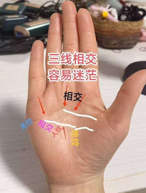 能否提供龍眼紋者的手相圖片？（能否提供龍眼紋者的手相圖片） 能否提供龍眼紋者的手相圖片？（能否提供龍眼紋者的手相圖片） 龍魚百科 第30張