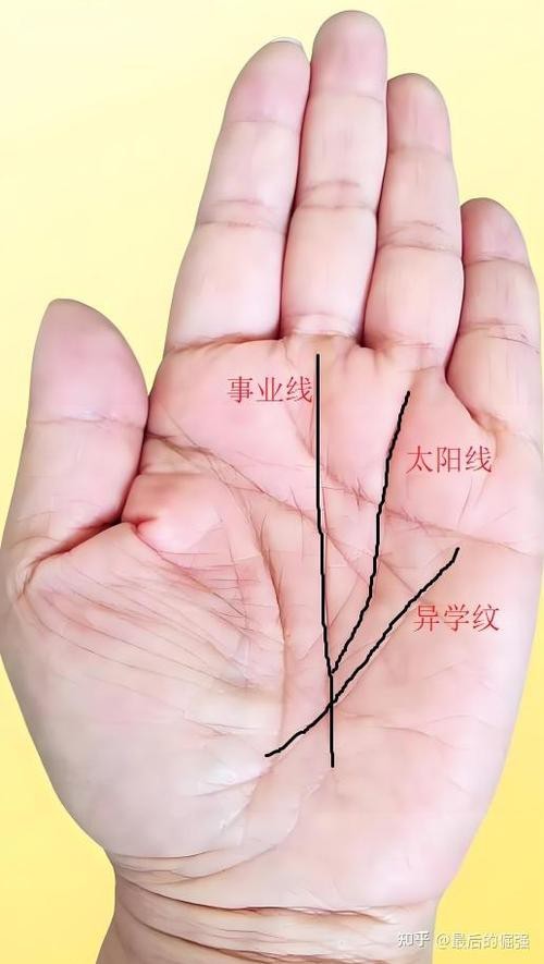 能否提供龍眼紋者的手相圖片？（能否提供龍眼紋者的手相圖片） 能否提供龍眼紋者的手相圖片？（能否提供龍眼紋者的手相圖片） 龍魚百科 第31張