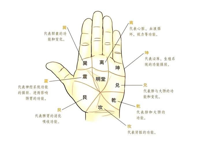 能否提供龍眼紋者的手相圖片？（能否提供龍眼紋者的手相圖片） 能否提供龍眼紋者的手相圖片？（能否提供龍眼紋者的手相圖片） 龍魚百科 第34張