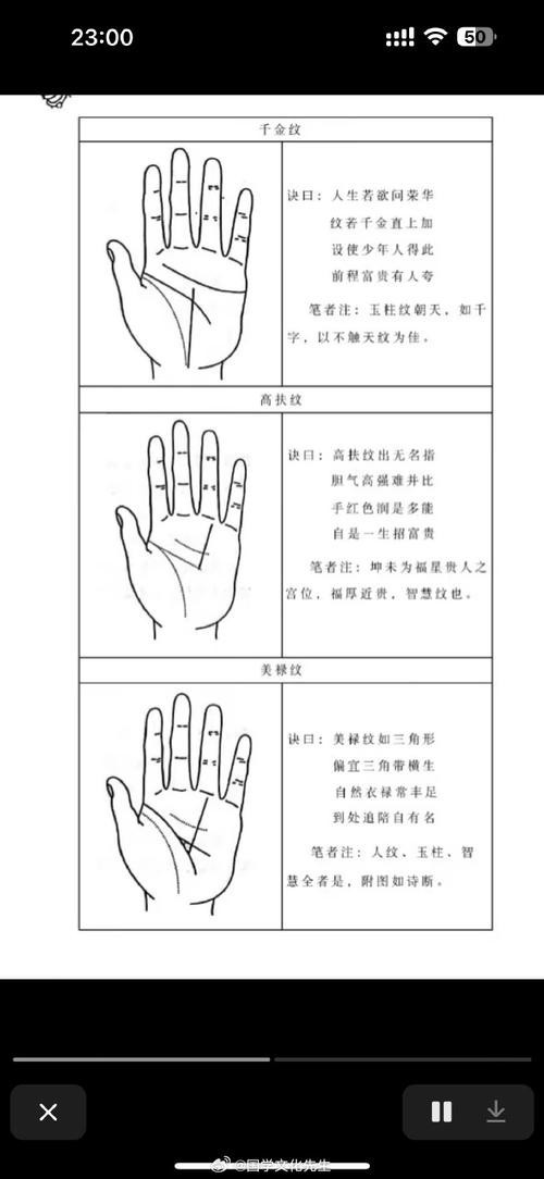 能否提供龍眼紋者的手相圖片？（能否提供龍眼紋者的手相圖片） 能否提供龍眼紋者的手相圖片？（能否提供龍眼紋者的手相圖片） 龍魚百科 第37張