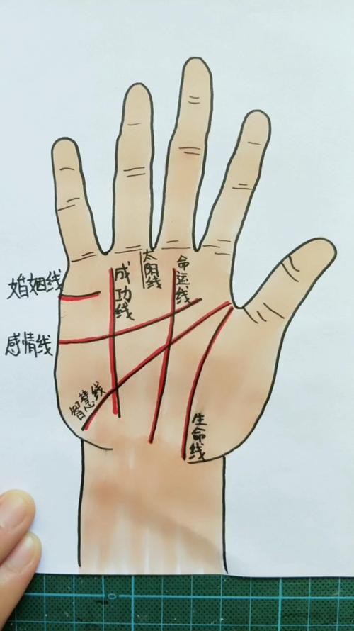 能否提供龍眼紋者的手相圖片？（能否提供龍眼紋者的手相圖片） 能否提供龍眼紋者的手相圖片？（能否提供龍眼紋者的手相圖片） 龍魚百科 第40張