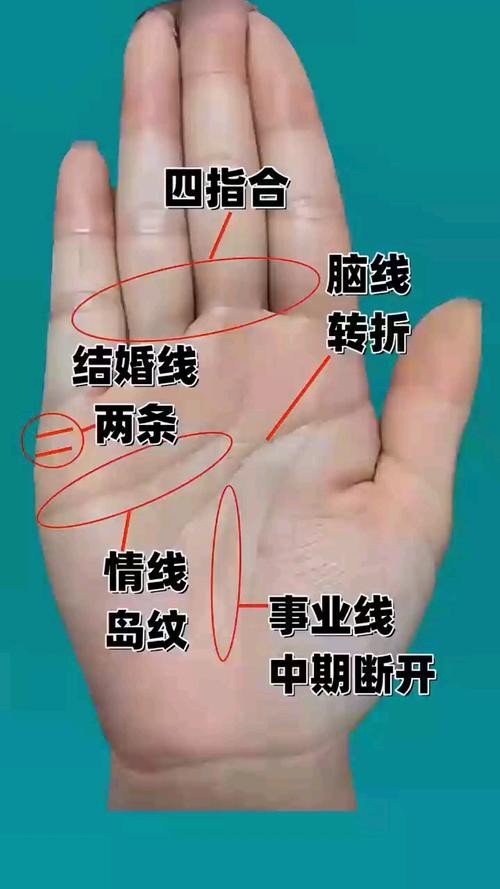 能否提供龍眼紋者的手相圖片？（能否提供龍眼紋者的手相圖片） 能否提供龍眼紋者的手相圖片？（能否提供龍眼紋者的手相圖片） 龍魚百科 第39張