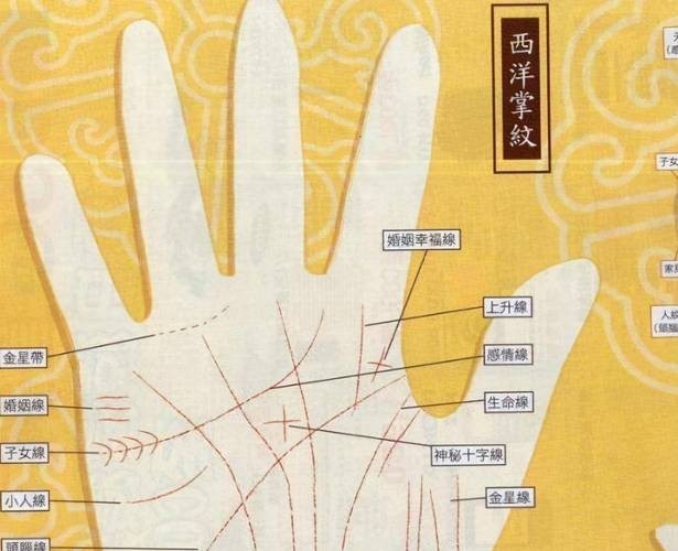 能否提供龍眼紋者的手相圖片？（能否提供龍眼紋者的手相圖片） 能否提供龍眼紋者的手相圖片？（能否提供龍眼紋者的手相圖片） 龍魚百科 第41張