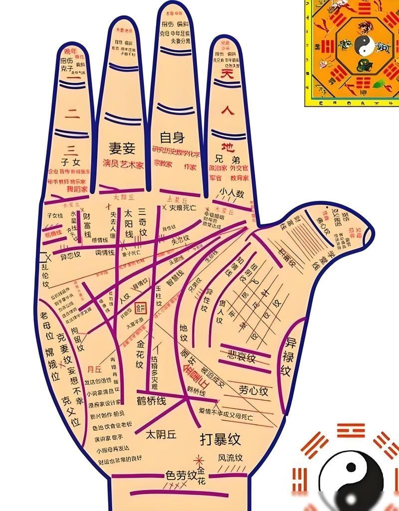 能否提供龍眼紋者的手相圖片？（能否提供龍眼紋者的手相圖片） 能否提供龍眼紋者的手相圖片？（能否提供龍眼紋者的手相圖片） 龍魚百科 第42張