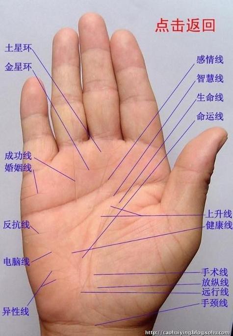 能否提供龍眼紋者的手相圖片？（能否提供龍眼紋者的手相圖片） 能否提供龍眼紋者的手相圖片？（能否提供龍眼紋者的手相圖片） 龍魚百科 第43張