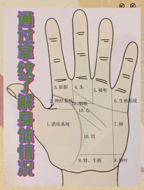 能否提供龍眼紋者的手相圖片？（能否提供龍眼紋者的手相圖片） 能否提供龍眼紋者的手相圖片？（能否提供龍眼紋者的手相圖片） 龍魚百科 第45張
