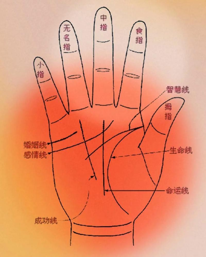 能否提供龍眼紋者的手相圖片？（能否提供龍眼紋者的手相圖片） 能否提供龍眼紋者的手相圖片？（能否提供龍眼紋者的手相圖片） 龍魚百科 第44張