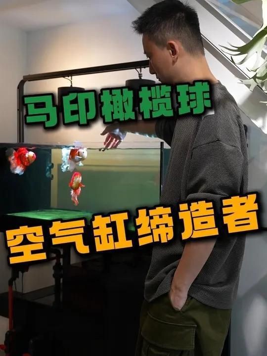 橄欖球濾材的害處（關于橄欖球濾材的潛在及處）