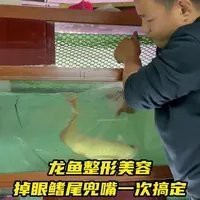 龍魚掉眼手術后會復發嗎？（智能模式回答完成調用工具：百度健康,龍魚掉眼手術后存在一定復發風險）
