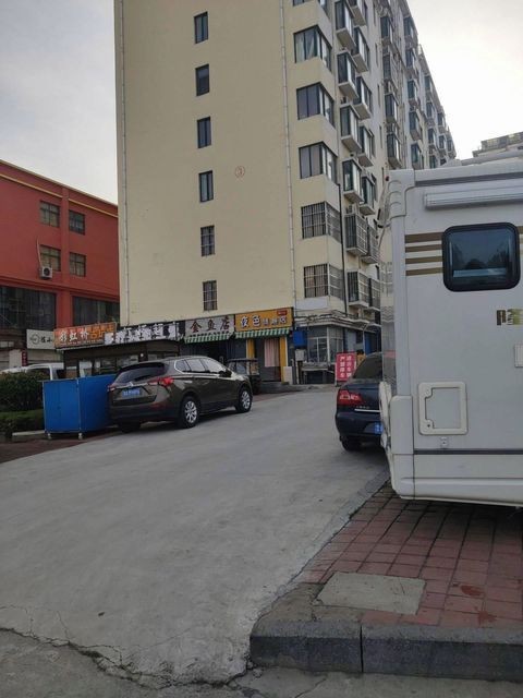 離我最近的金魚店（金魚文化的三棱鏡）