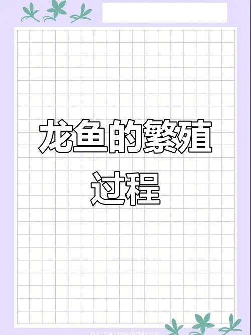 東海小白龍魚怎么繁殖的圖片（《東海小白龍魚怎么繁殖的圖片》）