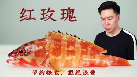 紅玫瑰斑魚圖片（“紅玫瑰斑魚圖片”） 紅玫瑰斑魚圖片（“紅玫瑰斑魚圖片”） 龍魚論壇 第7張