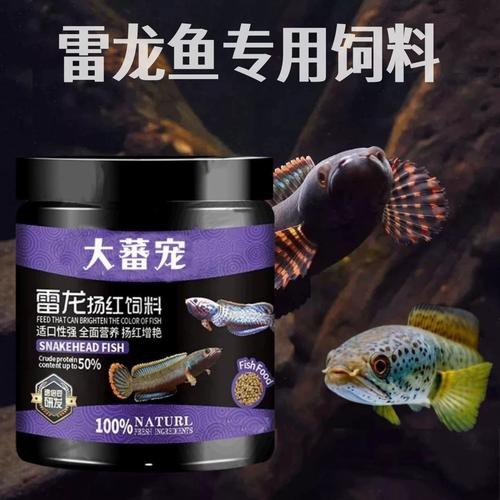 烏魚跟龍魚的區(qū)別圖片視頻（烏魚與龍魚區(qū)別）