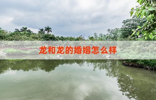 龍生與靜雯的關系如何發展？（《龍生與靜雯的關系發展》:龍生與靜雯的關系發展）