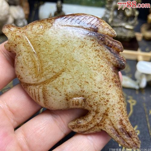 給我一些古龍魚的圖片（“古龍魚”的專屬圖片資源）