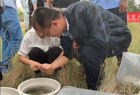 狗頭魚學(xué)名(狗頭魚的學(xué)名是什么?) 龍魚論壇 第7張 狗頭魚學(xué)名(狗頭魚的學(xué)名是什么?) 狗頭魚學(xué)名(狗頭魚的學(xué)名是什么?) 龍魚論壇 第7張