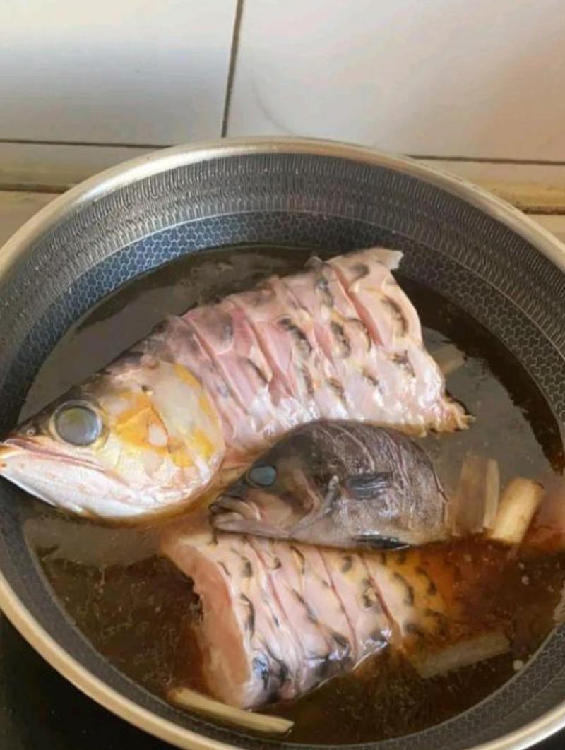 死金龍魚照片（《死金龍魚照片》一張“死金龍魚照片”引發諸多關注與討論）