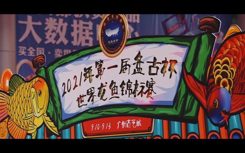 盤古杯世界龍魚錦標賽（“盤古杯”世界龍魚錦標賽，嘟嘟飛蛋糕濾材燃爆了！） 盤古杯世界龍魚錦標賽（“盤古杯”世界龍魚錦標賽，嘟嘟飛蛋糕濾材燃爆了！） 龍魚百科 第2張