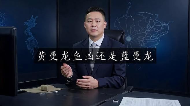 黃曼龍魚和藍曼龍魚哪個好養一點（《黃曼龍魚和藍曼龍魚哪個好養一點》新手養魚必備黃曼龍熱帶魚）