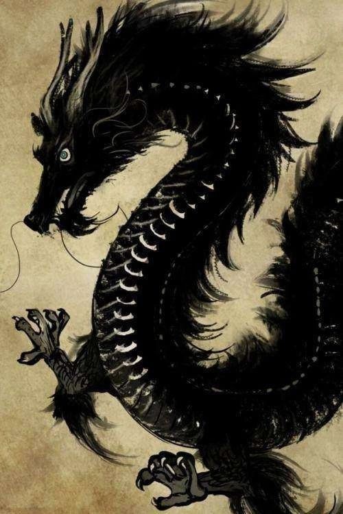 家里能不能擺放雕龍（為什么家里不能放龍） 家里能不能擺放雕龍（為什么家里不能放龍） 龍魚論壇 第4張