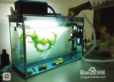 菏澤市定陶區(qū)魚花花卉銷售中心（菏澤市定陶區(qū)魚花花卉銷售中心電話）（菏澤定陶區(qū)魚花花卉銷售中心）