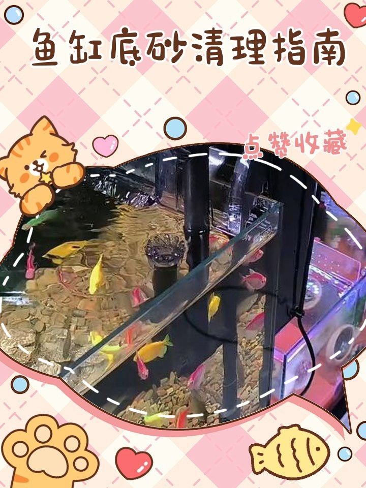 如何判斷是否需要更換底砂？（如何判斷魚缸底砂是否需要更換）