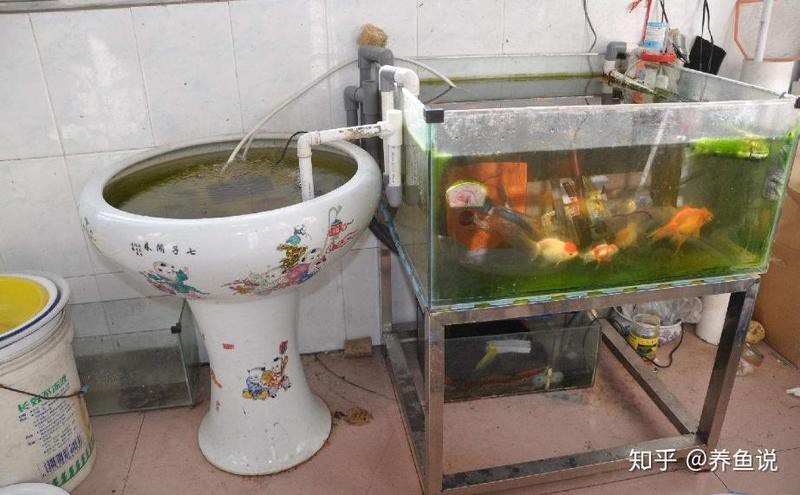 如何判斷是否需要更換底砂？（如何判斷魚缸底砂是否需要更換）