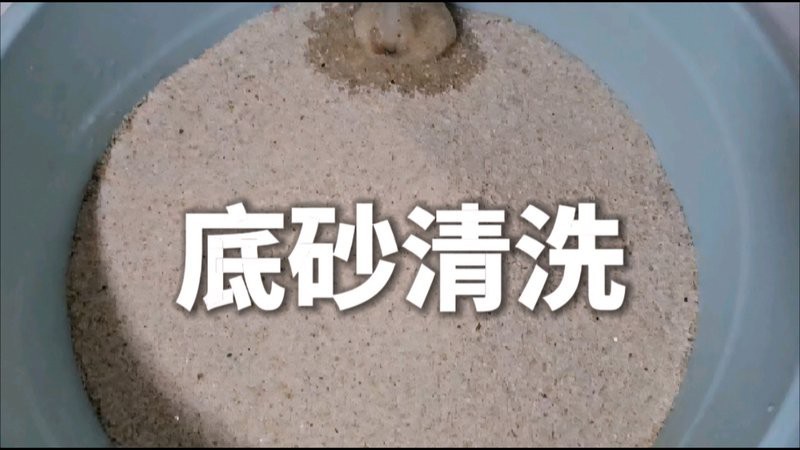 如何判斷是否需要更換底砂？（如何判斷魚缸底砂是否需要更換）