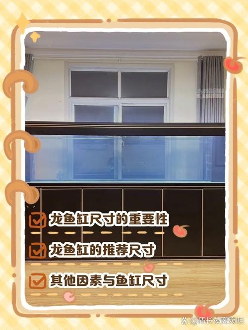 銀龍魚缸尺寸圖片欣賞（銀龍魚作為熱帶觀賞魚，其魚缸尺寸的選擇至關重要）