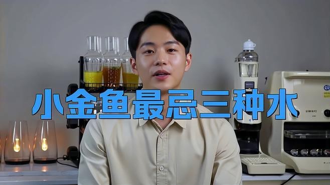 金魚為什么不建議養(yǎng)（虎頭金魚為什么不建議養(yǎng)金魚為什么不建議養(yǎng)綠韻天使）