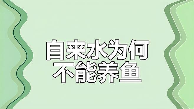 金魚為什么不建議養(yǎng)（虎頭金魚為什么不建議養(yǎng)金魚為什么不建議養(yǎng)綠韻天使）
