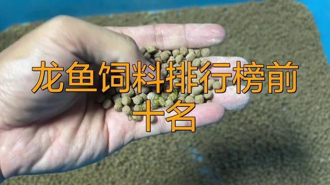 紅龍魚幼苗吃什么長的快（《紅龍魚幼苗吃什么長的快》） 紅龍魚幼苗吃什么長的快（《紅龍魚幼苗吃什么長的快》） 龍魚百科 第9張