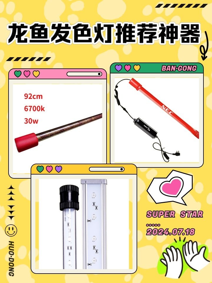 龍魚燈應該選擇什么品牌？（龍魚燈什么牌子最好）