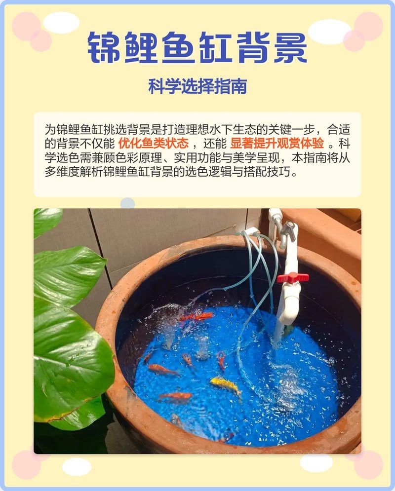 魚缸白底黑背景的利弊（魚缸白底黑背景的利弊分析） 魚缸白底黑背景的利弊（魚缸白底黑背景的利弊分析） 龍魚論壇 第4張