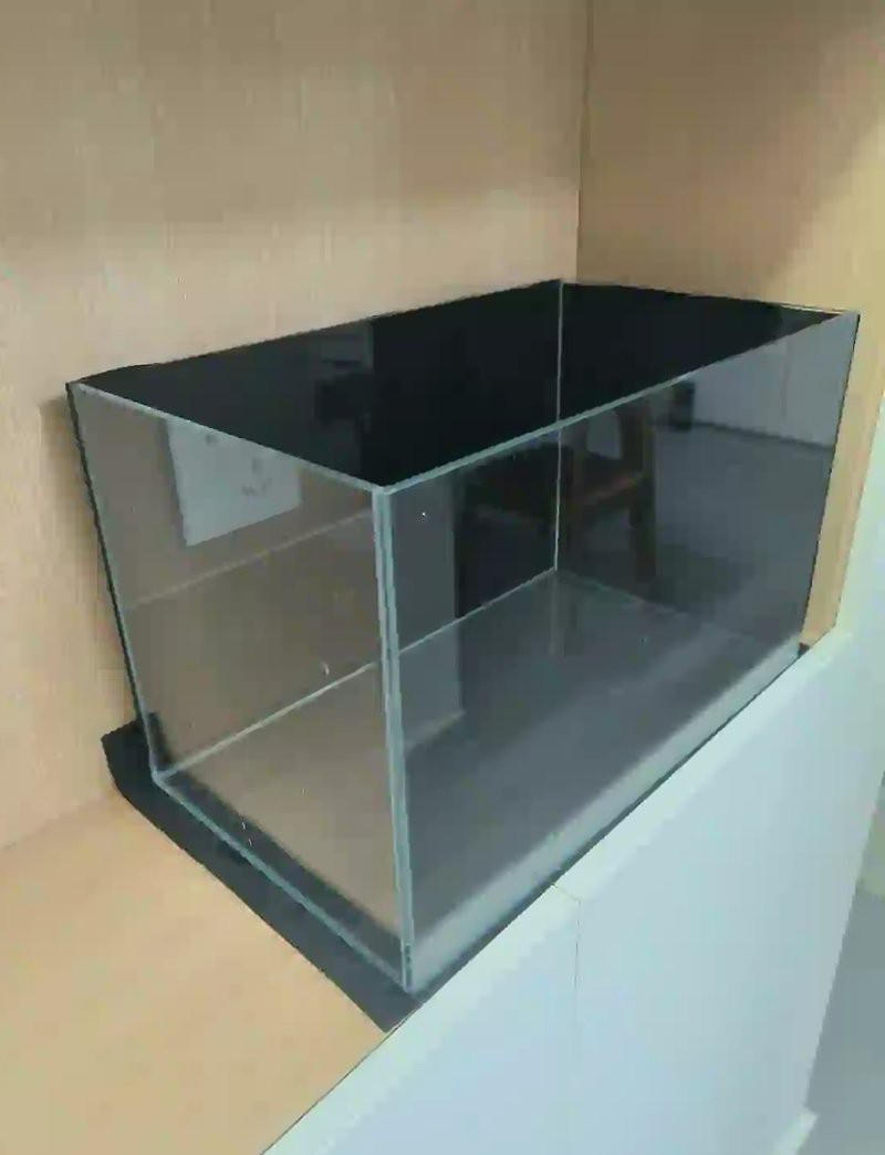 魚缸白底黑背景的利弊（魚缸白底黑背景的利弊分析） 魚缸白底黑背景的利弊（魚缸白底黑背景的利弊分析） 龍魚論壇 第6張
